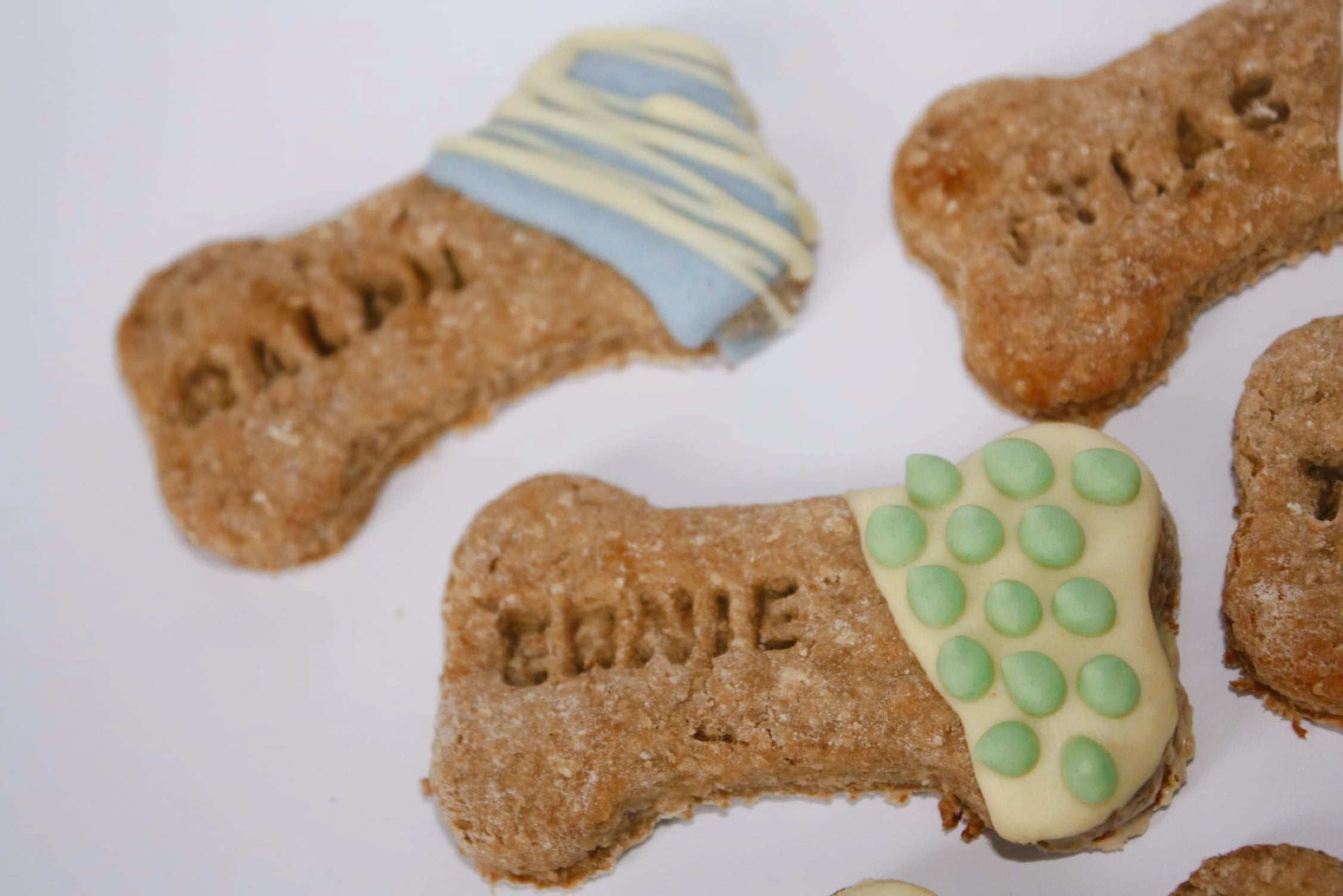 Puppy bone treats shop